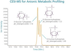 CESI-MS-Anionic-Metabolic-Profiling