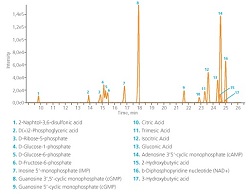 CESI-MS-Anionic-Metabolic-Profiling