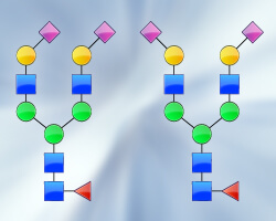Isobaric Compounds