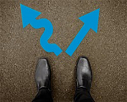 Streamline Your Workflow