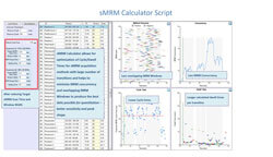 Analyst&reg; Software
