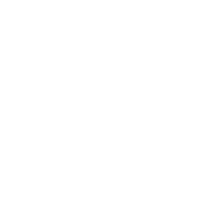 Multiple Attribute Methodology