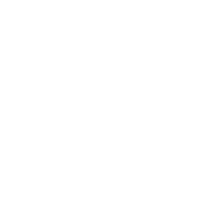 Detect Relevant Lipids at once for Biological Insight