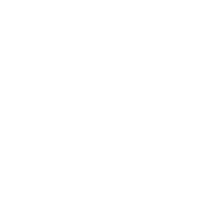 Quantify Lipids without any Bias