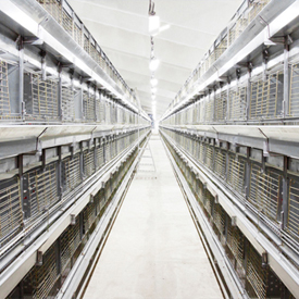 Reclaim Wasted Space