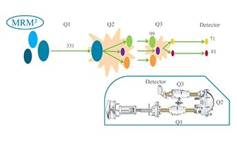 MRM3 Application for Quantitation