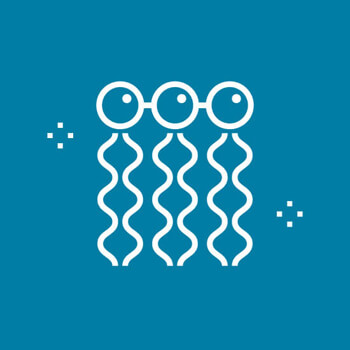 Simplifying Quantitative Lipidomics