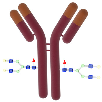 Precise Intact Protein Analysis