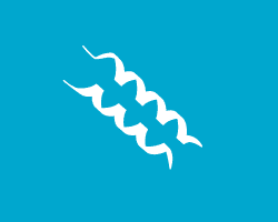 Proteomics by CESI-MS