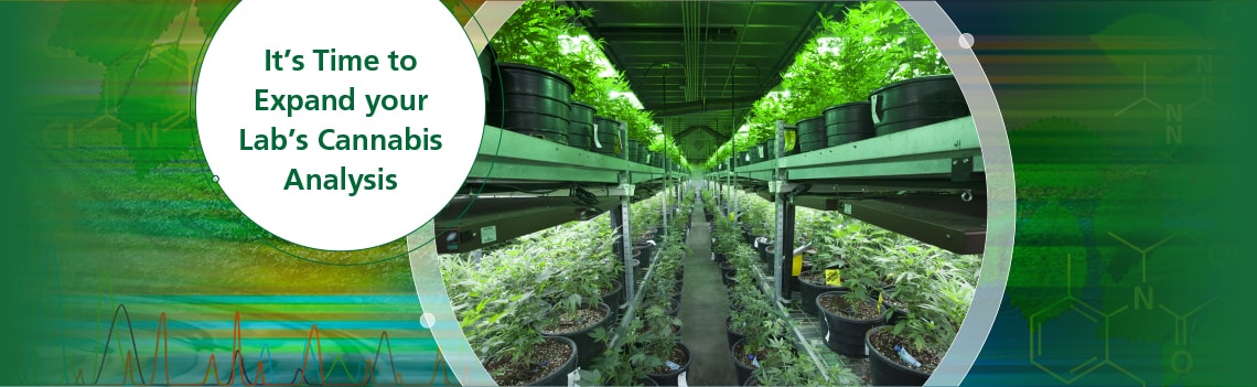 Pesticide Testing for Marijuana and Hemp