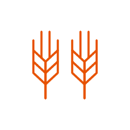Mycotoxin Detection to Minimize the Risk of Food and Feed Contamination