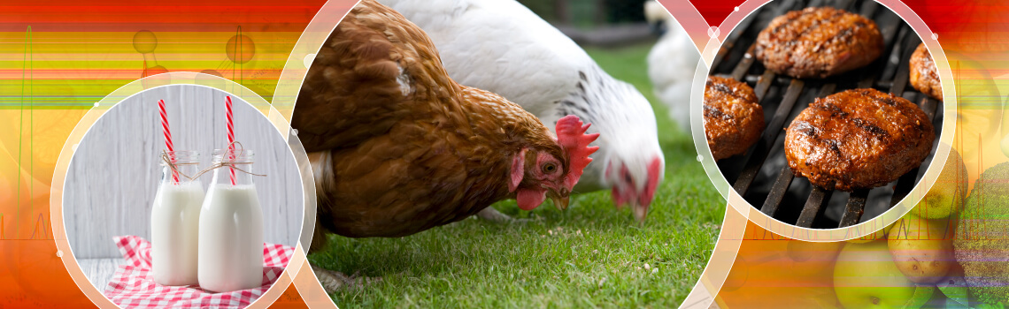 Veterinary Drug Residues