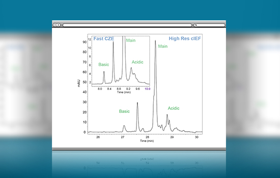 Charge Heterogeneity Analysis