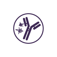 Host Cell Proteins