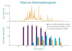 CESI-MS-Anionic-Metabolic-Profiling