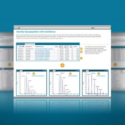 Site-Specific-Glycopeptide-Analysis
