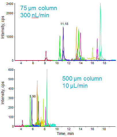 Sample Cell Lysates